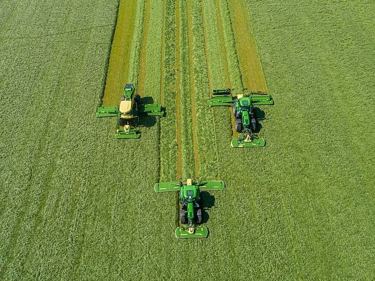 EasyCut B